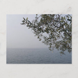 Postal Árbol de olivos y lago de Garda, Italia
