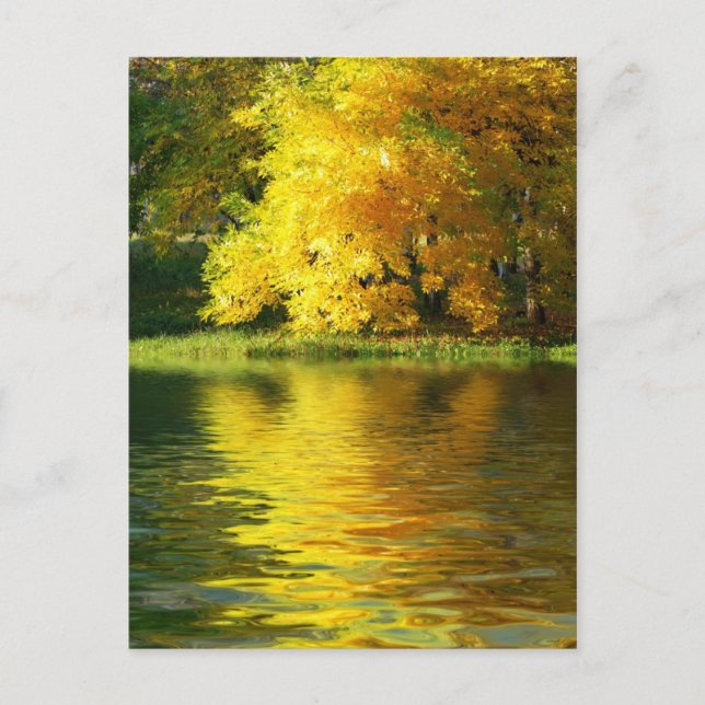 Postal Árbol de otoño en el bosque con reflexión (Anverso)