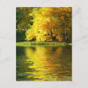 Postal Árbol de otoño en el bosque con reflexión