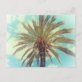 Postal Árbol de palma tropical vintage