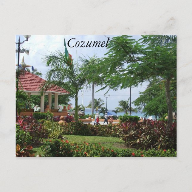 Postal Árbol de palmas tropicales de Cozumel (Anverso)