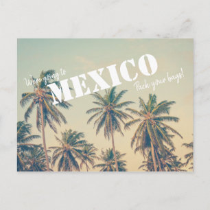 Postal Árbol de palmeras de playa de México salva las fec