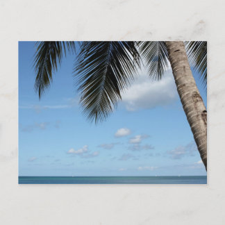 Postal Árbol de palmeras y mar Caribe