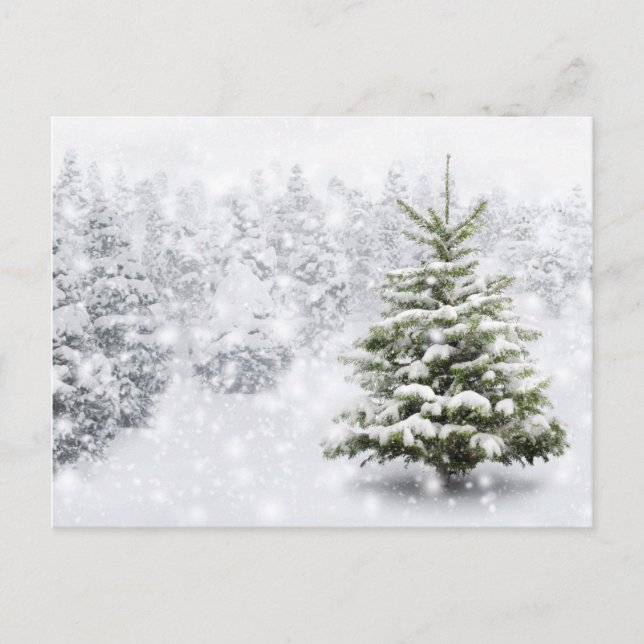 Postal Árbol De Pelo En Nieve Gruesa (Anverso)
