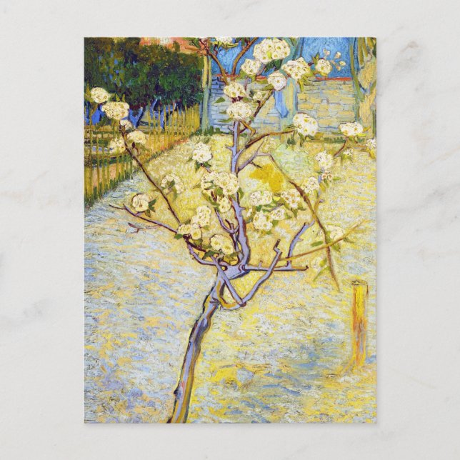 Postal Árbol de peras en arte fino de Blossom Vincent van (Anverso)