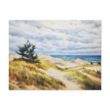 Árbol de pino en una duna de arena en el mar Bálti