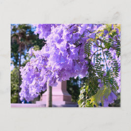 Postal Árbol de princesas moradas de Auckland