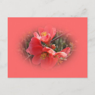 Postal Árbol de quinceañera florido