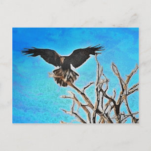 Postal Árbol de raven
