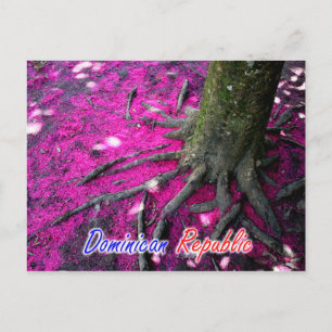 Postal Árbol de República Dominicana