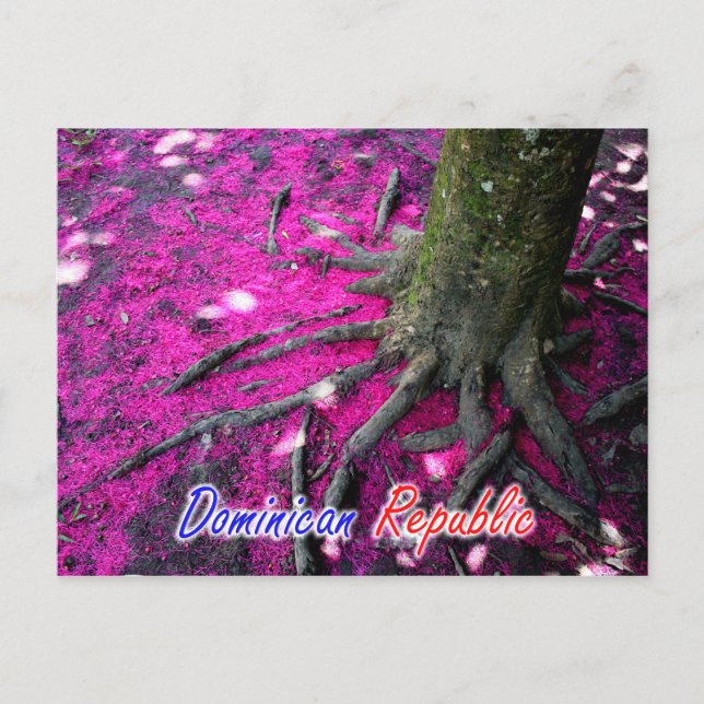 Postal Árbol de República Dominicana (Anverso)