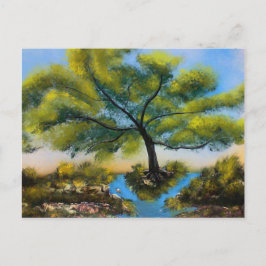 Postal Árbol de río