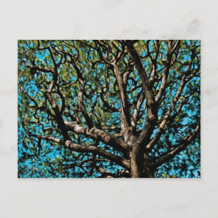 Postal Árbol de roble