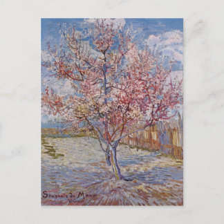 Postal Árbol de rosa en flor (reminiscencia de malva)