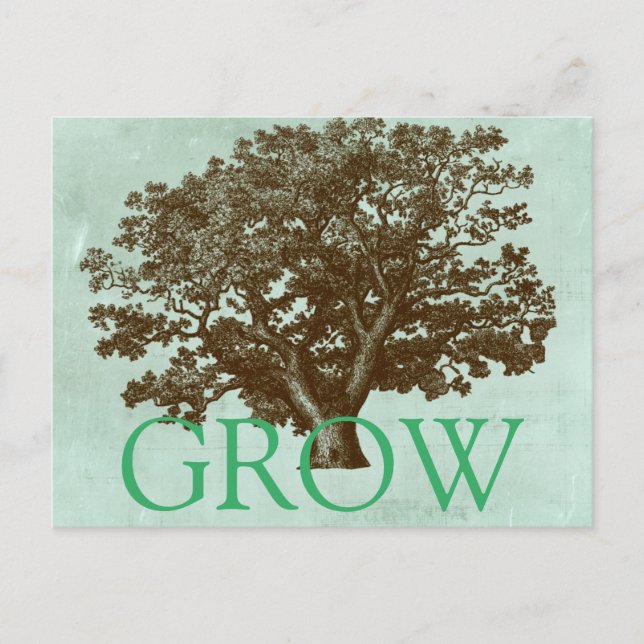 Postal Árbol de Spa IV (Anverso)