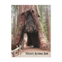 Árbol de túnel-Yosemite