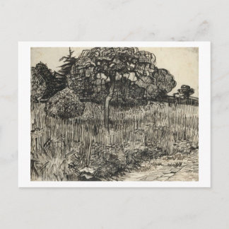Postal Árbol de Van Gogh que llora en un jardín