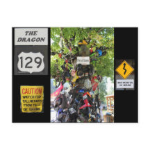 Árbol de vergüenza