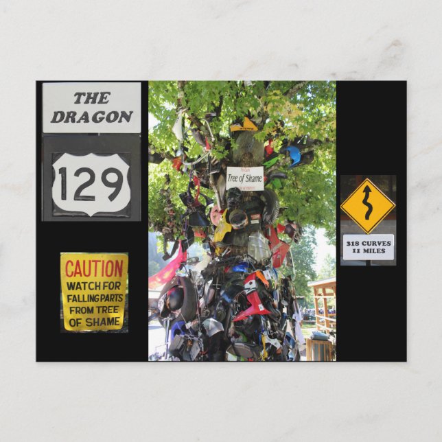 Postal Árbol de vergüenza (Anverso)