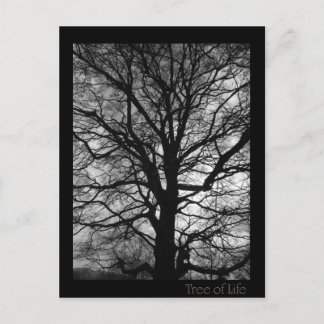 Postal Árbol de vida - Lebensbaum - Baum des Lebens