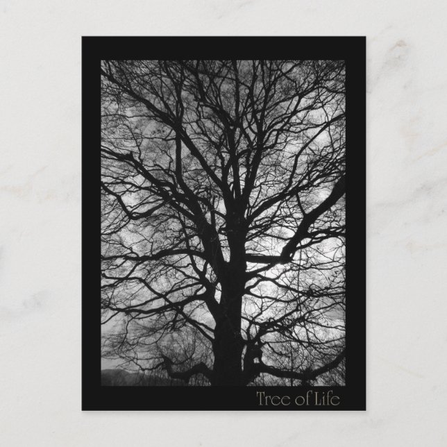 Postal Árbol de vida - Lebensbaum - Baum des Lebens (Anverso)