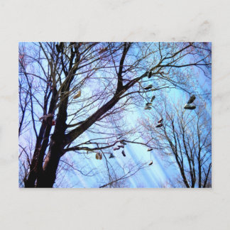 Postal Árbol de zapatos