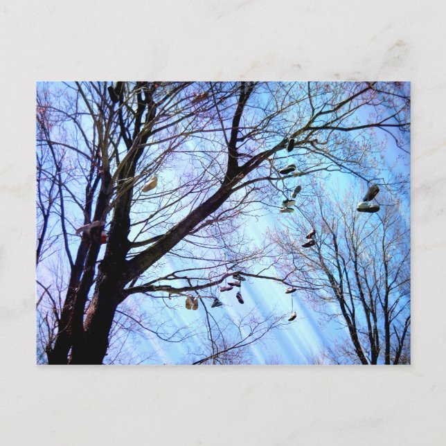 Postal Árbol de zapatos (Anverso)