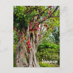 Postal Árbol del amor, Zhonghe - Yunnan, China