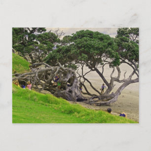 Postal Árbol del enredo