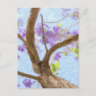 Postal Árbol del Jacaranda