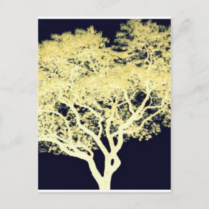 Postal Árbol del Jacaranda