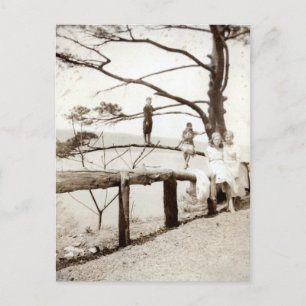 Postal Árbol Del Pasado