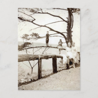 Postal Árbol Del Pasado