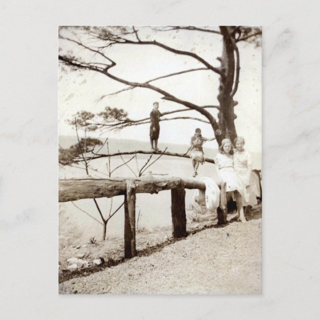 Postal Árbol Del Pasado (Anverso)