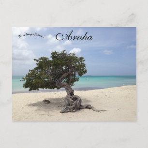 Postal Árbol Divi en la playa de Eagle en Aruba