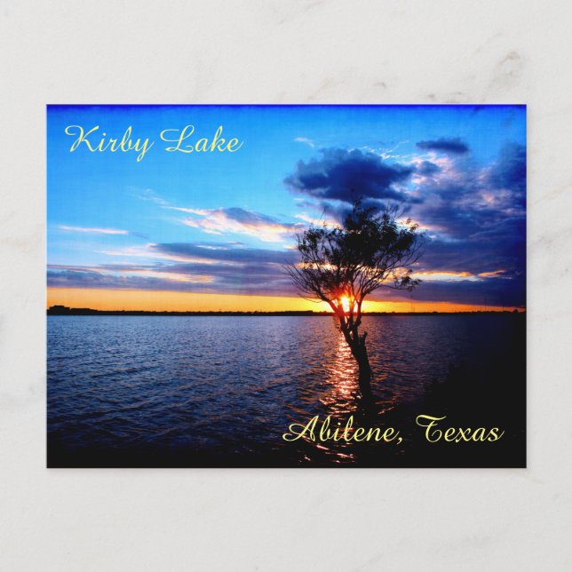 Postal Árbol En El Lago Kirby (Anverso)