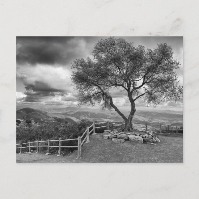 Postal Árbol en la cima de la colina (Anverso)