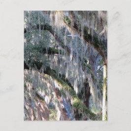 Postal Arbol en línea