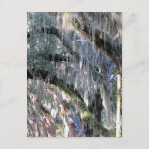 Postal Arbol en línea