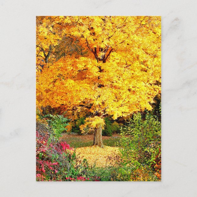 Postal Árbol en oro (Anverso)