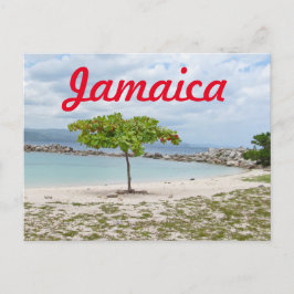 POSTAL ÁRBOL EN PLAYA SECLUIDA EN JAMAICA