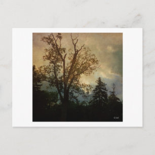 Postal Árbol envejecido