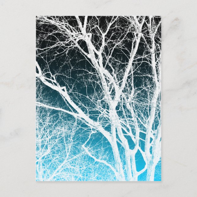 Postal árbol fantasma (Anverso)