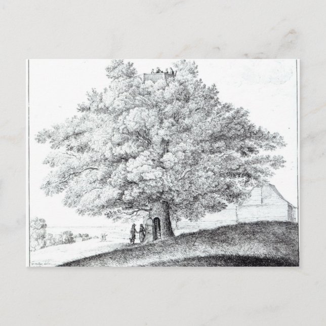 Postal Árbol hueco en Hampstead, 1663 (Anverso)
