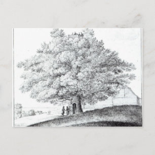 Postal Árbol hueco en Hampstead, 1663