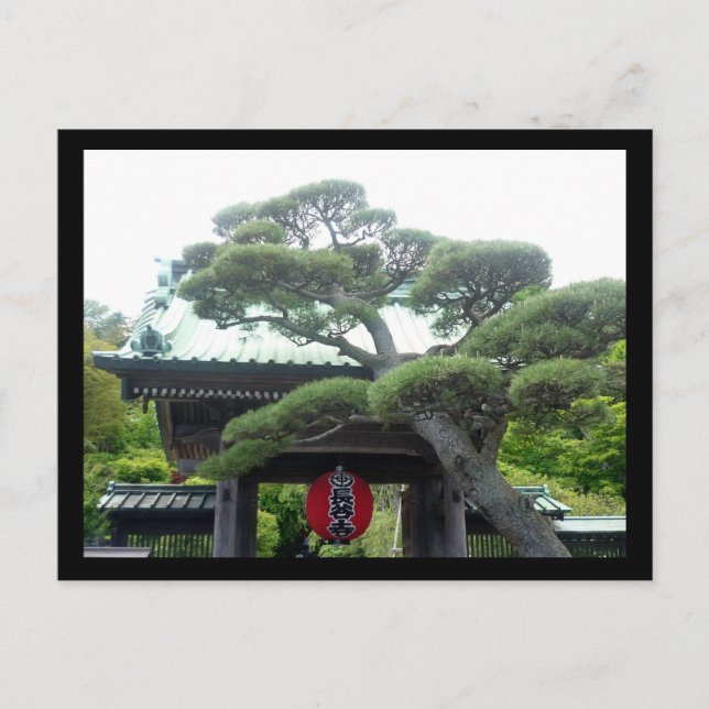 Postal árbol japonés (Anverso)