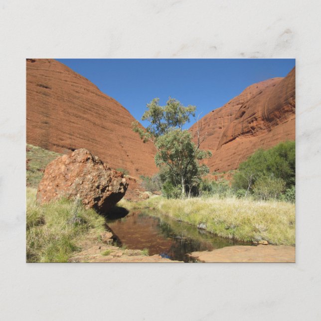 Postal árbol kata tjuta (Anverso)