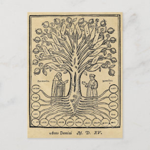 Postal Árbol medieval de la ciencia