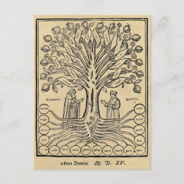 Postal Árbol medieval de la Sepia de las Ciencias