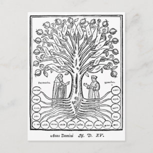 Postal Árbol medieval de las ciencias